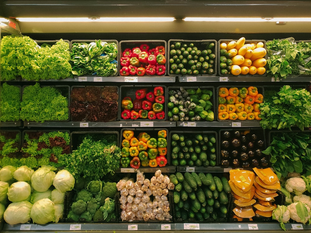 How to Build a Grocery Delivery App with React Native + Expo (2026) - DEV Community