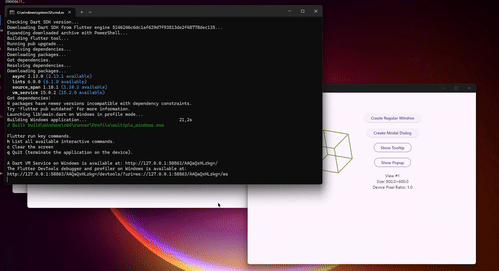 Correção de foco e realização da janela em Windows